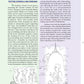 Sri Sankara Pictorial