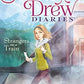 NANCY DREW DIARIES Paperback
