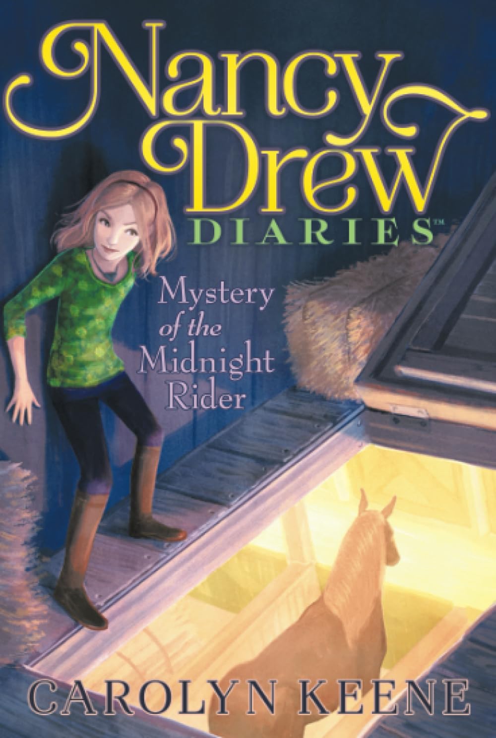 NANCY DREW DIARIES Paperback
