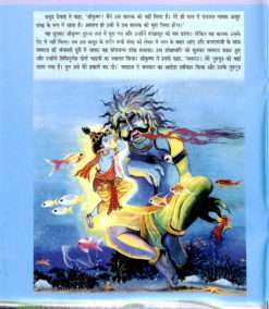 Sri Krishna (Hindi) Pictorial Vol .2