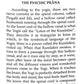 Raja Yoga