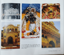 Sri Ramakrishna: A Divine Life in Pictures