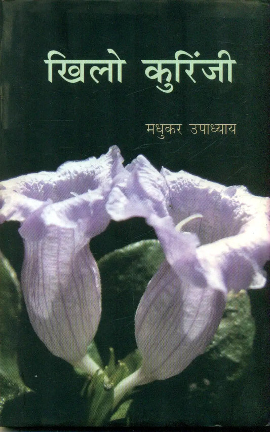 Khilo Kurinji